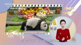 久久久精品国产亚洲